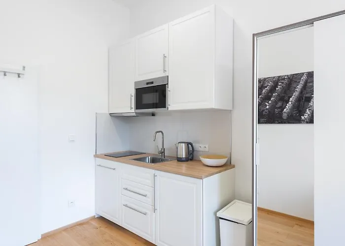 Appartement Tesnov Praag