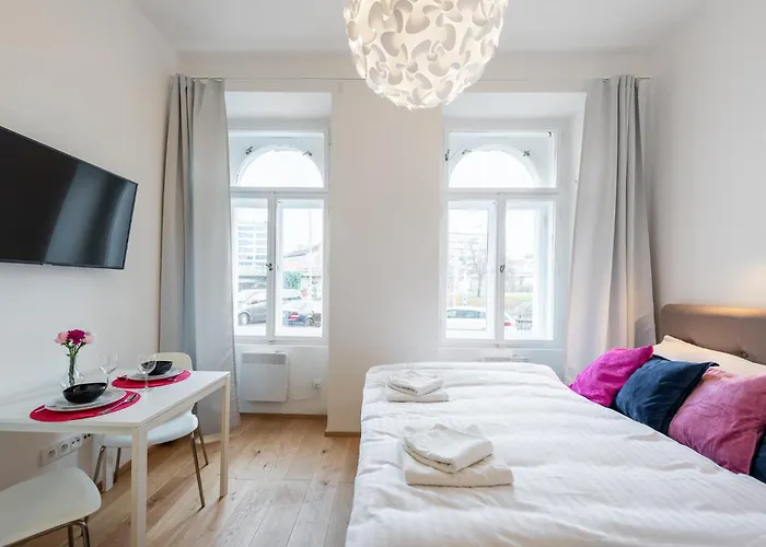 Appartement Tesnov Praag