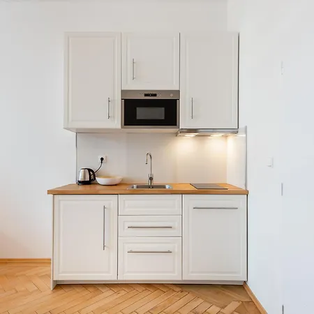 Apartment Tesnov Prag